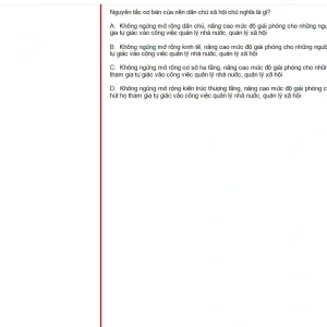 MLN131 FA24 FE_015.webp