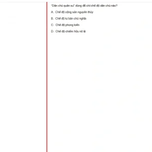 MLN131 FA24 FE_016.webp