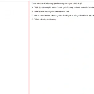 MLN131 FA24 FE_017.webp