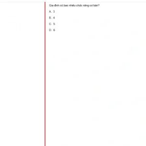 MLN131 FA24 FE_022.webp
