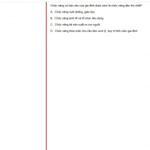 MLN131 FA24 FE_023.webp