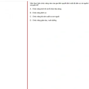 MLN131 FA24 FE_024.webp