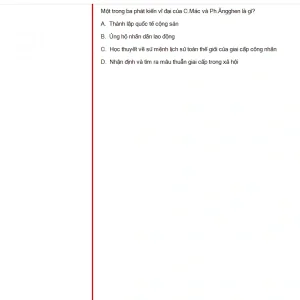 MLN131 FA24 FE_025.webp