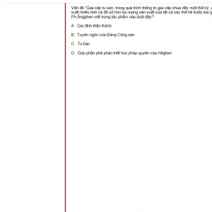 MLN131 FA24 FE_027.webp