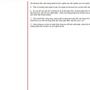 MLN131 FA24 FE_029.webp