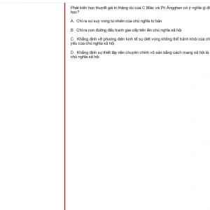 MLN131 FA24 FE_030.webp