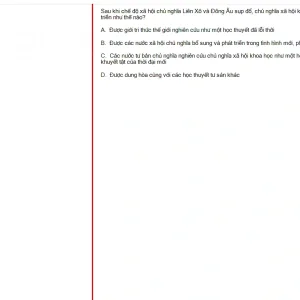 MLN131 FA24 FE_031.webp