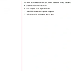 MLN131 FA24 FE_037.webp