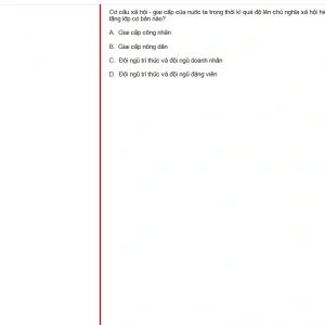 MLN131 FA24 FE_041.webp