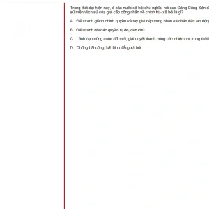 MLN131 FA24 FE_045.webp