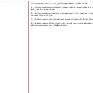 MLN131 FA24 FE_047.webp