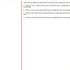 MLN131 FA24 FE_049.webp