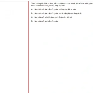 MLN131 FA24 FE_050.webp