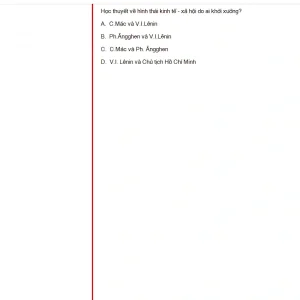 MLN131 FA24 FE_052.webp