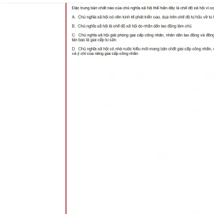 MLN131 FA24 FE_054.webp