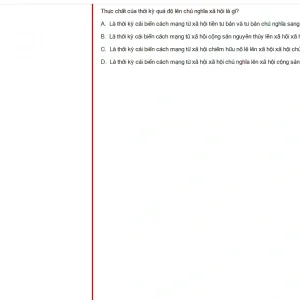 MLN131 FA24 FE_055.webp