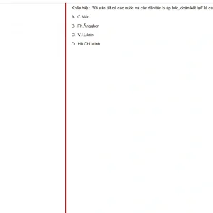 MLN131 FA24 FE_056.webp