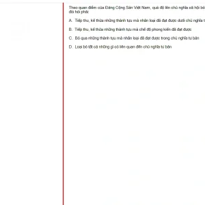 MLN131 FA24 FE_059.webp