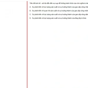 MLN131 FA24 FE_060.webp