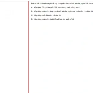 MLN131 SU24 B5 FE_010.webp