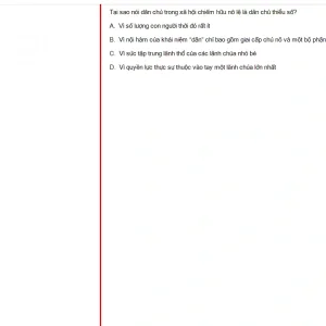 MLN131 SU24 B5 FE_014.webp