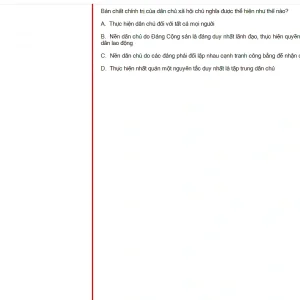 MLN131 SU24 B5 FE_015.webp