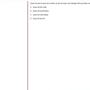 MLN131 SU24 B5 FE_024.webp