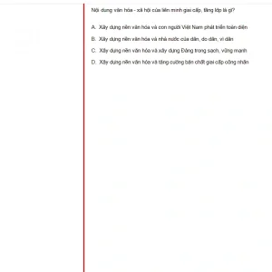 MLN131 SU24 B5 FE_038.webp