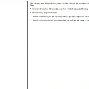 MLN131 SU24 B5 FE_048.webp