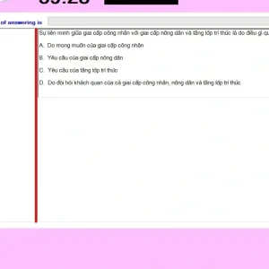 MLN131 SU24 FE RE_041.webp