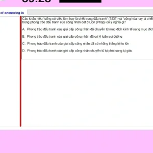 MLN131 SU24 FE RE_043.webp
