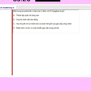 MLN131 SU24 FE RE_050.webp