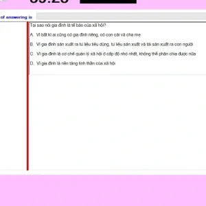 MLN131 SU24 FE RE_059.webp
