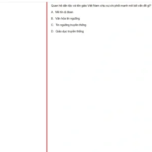 MLN131 SU24 FE_002.webp