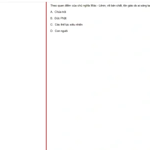 MLN131 SU24 FE_003.webp
