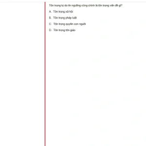 MLN131 SU24 FE_007.webp