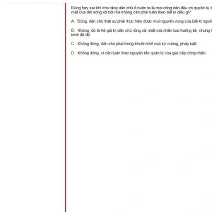 MLN131 SU24 FE_008.webp