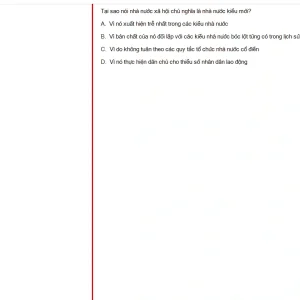 MLN131 SU24 FE_009.webp