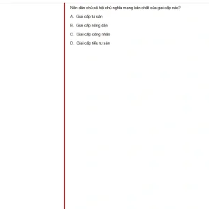 MLN131 SU24 FE_015.webp