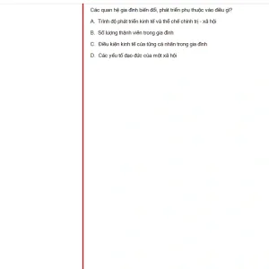 MLN131 SU24 FE_019.webp