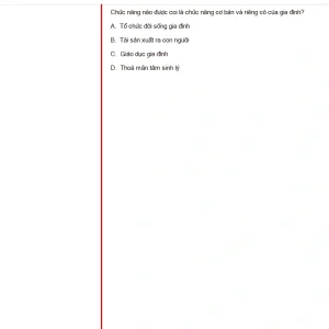 MLN131 SU24 FE_021.webp