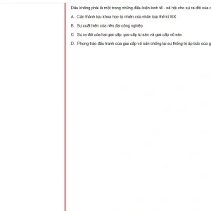 MLN131 SU24 FE_029.webp