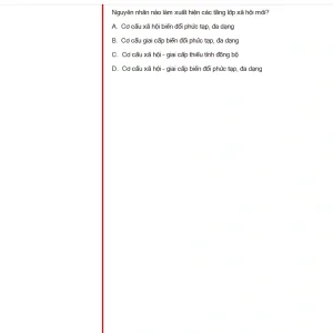 MLN131 SU24 FE_033.webp