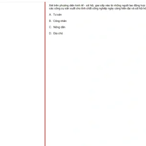 MLN131 SU24 FE_042.webp