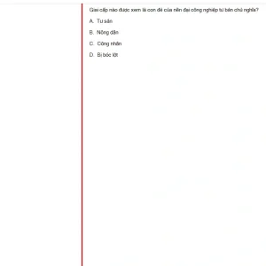 MLN131 SU24 FE_048.webp