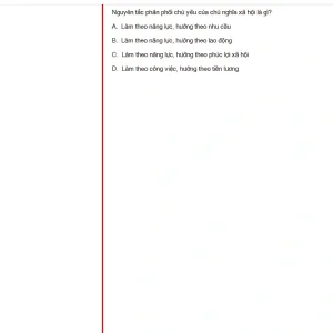 MLN131 SU24 FE_055.webp