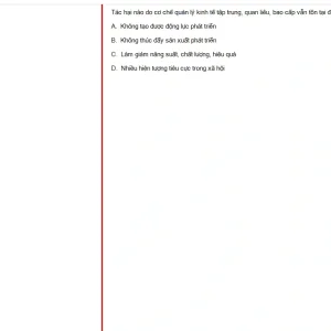 VNR202 FA25 FE RE_039.webp