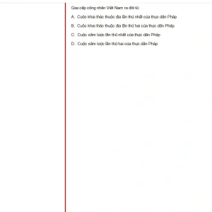 VNR202 FA25 FE_034.webp