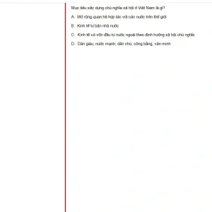 VNR202 FA25 FE_041.webp