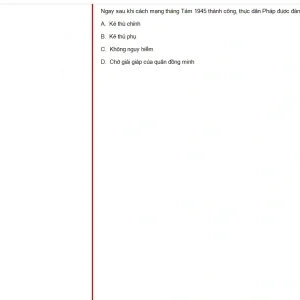 VNR202 SU25 B5 FE_002.webp